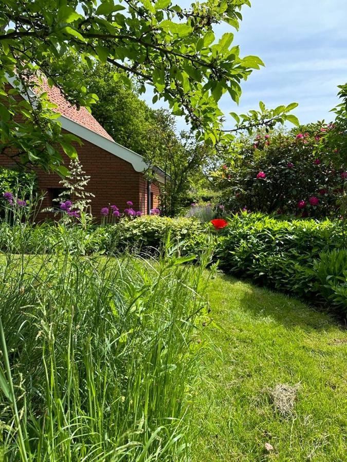 Haystackcottage Paterswolde Екстер'єр фото