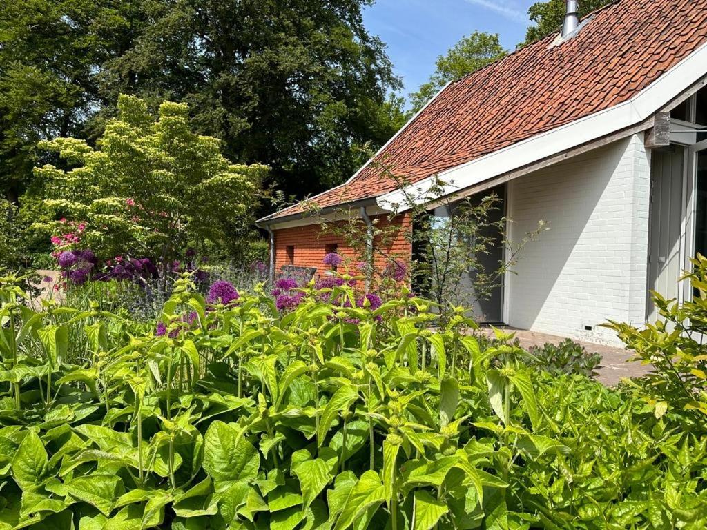 Haystackcottage Paterswolde Екстер'єр фото