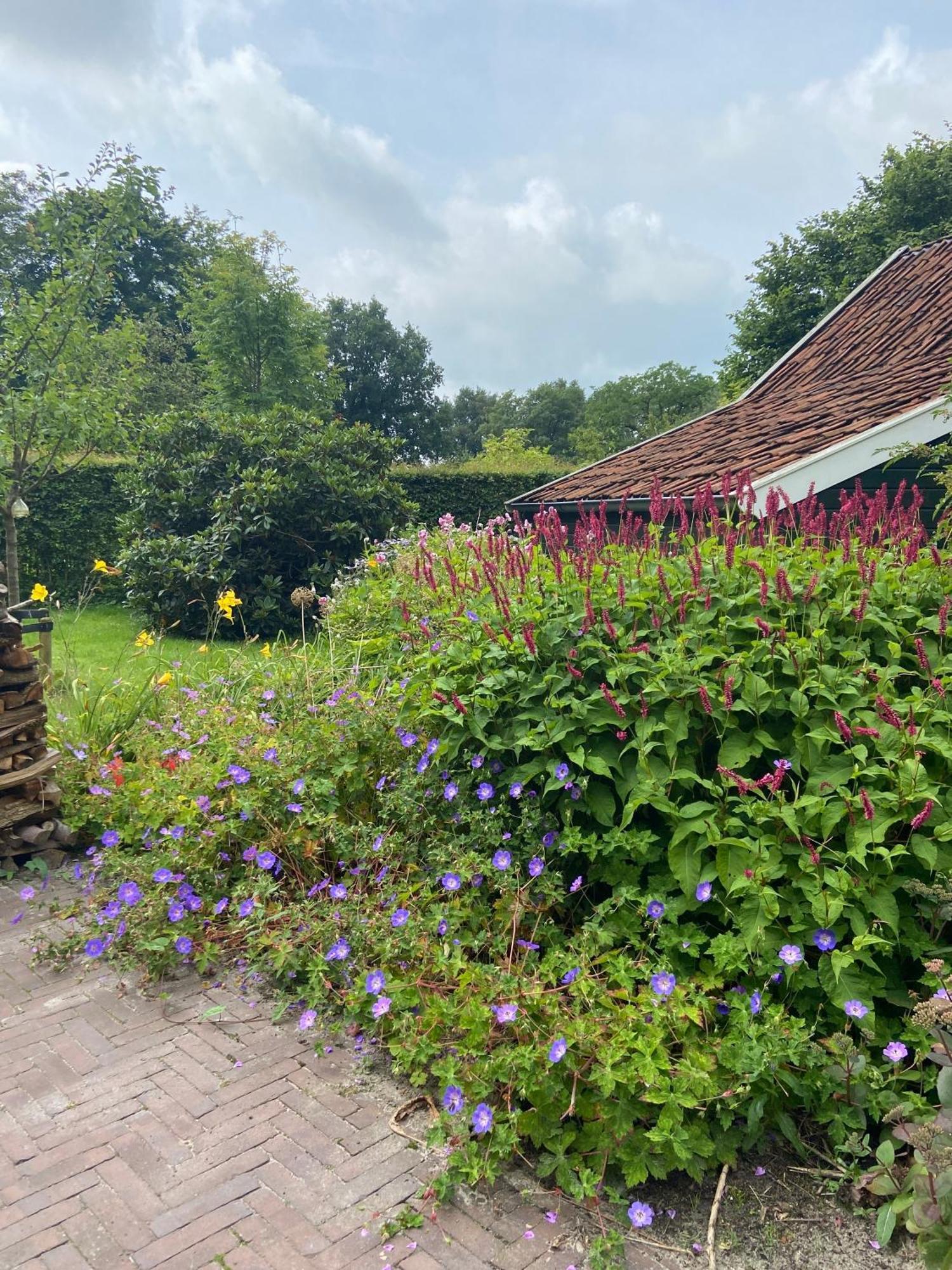 Haystackcottage Paterswolde Екстер'єр фото